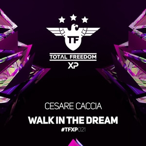 Walk In The Dream (Original Mix)
