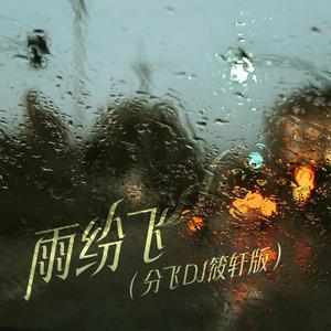雨纷飞 (分飞DJ筱轩版) - DJ筱轩封面
