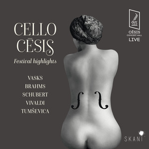 Cello Concerto in D Minor - I. Allegro moderato (Based on Schubert's Arpeggione Sonata, D. 821) (Live)