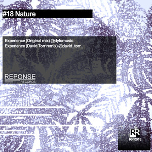Experience (David Torr Remix)
