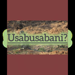 Stop children and woman abuse (feat. Smash on thingz) (Radio Edit)