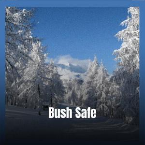Bush Safe