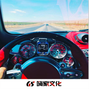 子麒 - 档次人生 (DJ版)