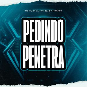 Pedindo Penetra (Explicit)