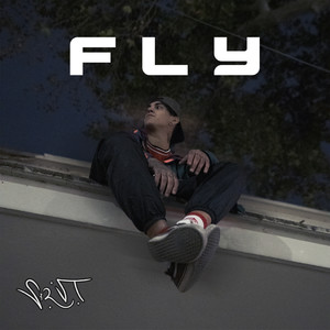 Fly