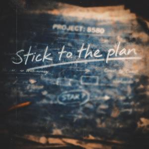 stick to the plan (Explicit)