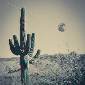 MudFilledDreams (feat. Sixthells) (Explicit)