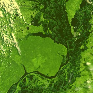 Closed System (Original)