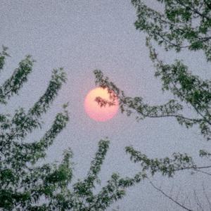 :) (drumless version)