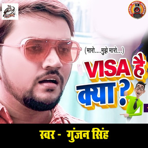 Visa Hai Kya