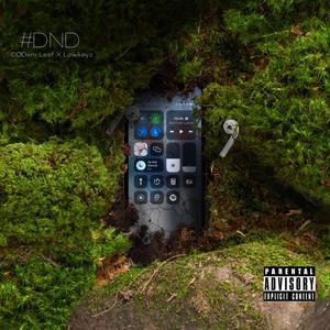 #DND (feat. LowKeyZ) [Explicit]