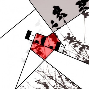 我写你是芋头味的岁岁年年