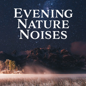 Evening Nature Noises: Best Nature Sounds with Piano Melodies for Total Relax, Therapy Music, Stress Relief, Peace & Harmony, Perfect Nights with New Age Songs