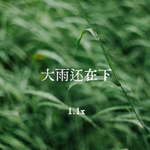 大雨还在下 (1.1x)