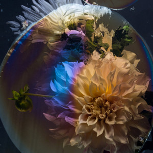 MTNS - Miscommunication