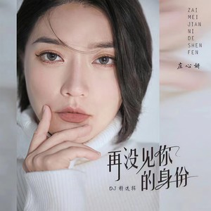 再找不回当初的自己 (DJ阿远版)封面
