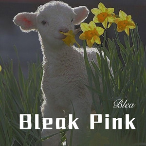 专业团队之黑人抬棺 (Remix)