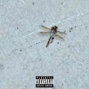 feellikerihanna (Explicit)