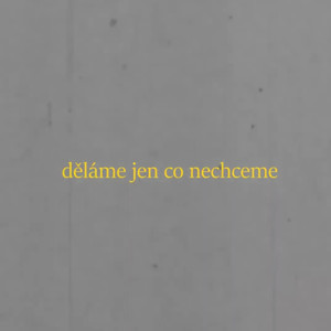 děláme jen co nechceme (Explicit)