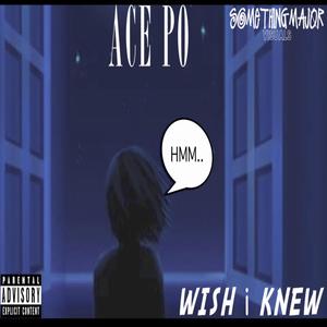 Wish i Knew (Explicit)