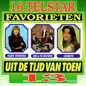 16 Telstar Favorieten uit de Tijd van Toen, Vol. 13