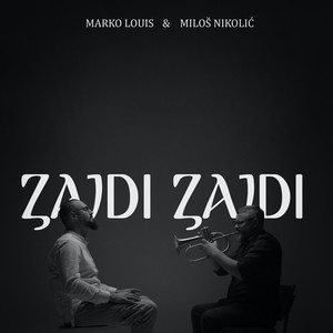 Zajdi zajdi