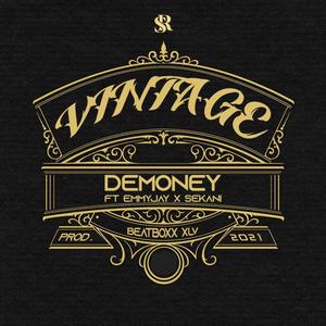 Vintage (feat. Emmyjay Tha Celebritybadguy & Sekani)