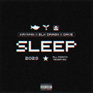 SLEEP (feat. BLk DRGN) (Explicit)