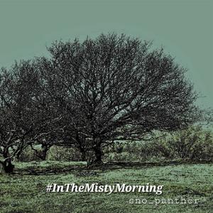 #InTheMistyMorning