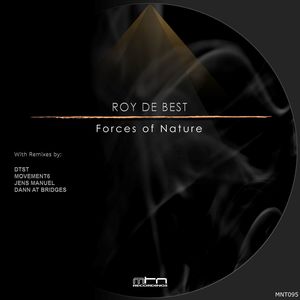 Forces of Nature (DTST Remix)