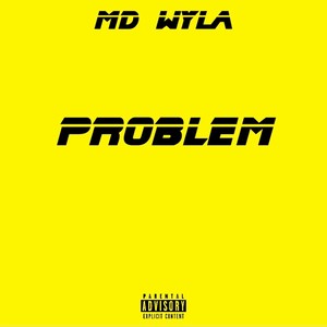 Problem (Explicit)