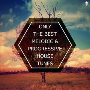 Only The Best Melodic & Progressive House Tunes