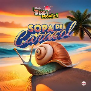 Sopa de Caracol