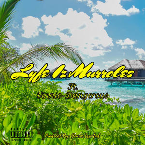 Lyfe Iz Murrcles (feat. Vinnie-Dangerous) (Explicit)