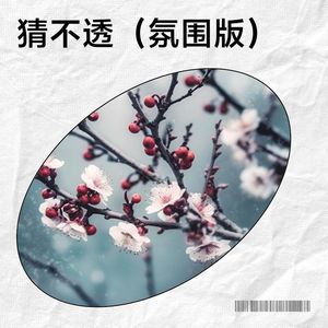猜不透-黄祯