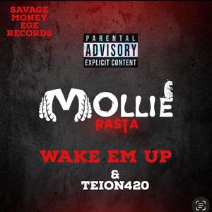 Wake EM Up (feat. Teion420) [Explicit]