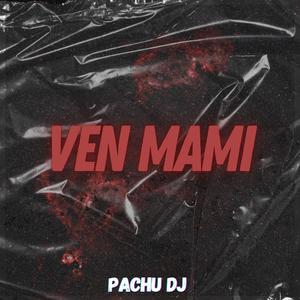 VEN MAMI (Remix)
