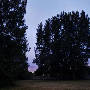 There's a gap in the treeline