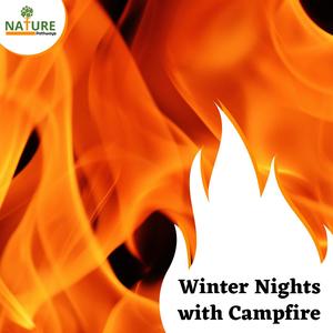 Winter Nights with Campfire