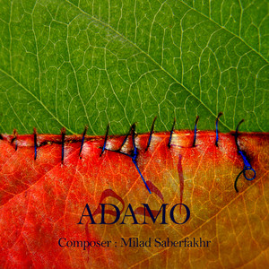 Adamo