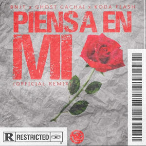 Piensa en mi (Oficial Remix)