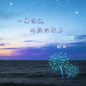一身落魄无颜回故乡 (DJ浩然版)