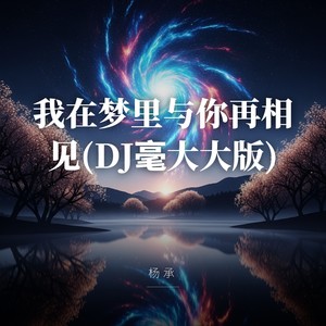 杨承 - 我在梦里与你再相见 (DJ毫大大版)