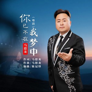 你已不在我梦中-粤语 (伴奏)