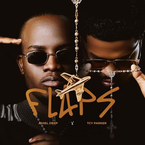 FLAPS (Explicit)