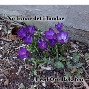 No livnar det i lundar