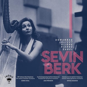 Sevin Berk