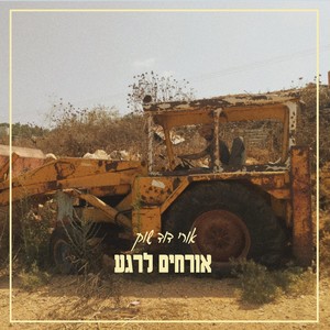 אורחים לרגע