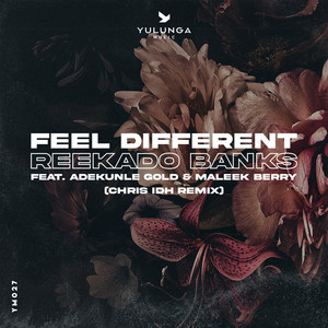 Feel Different (Chris IDH Remix)