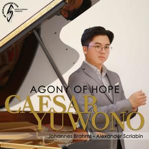 Piano Sonata No. 1 in C Major, Op. 1 - I. Allegro